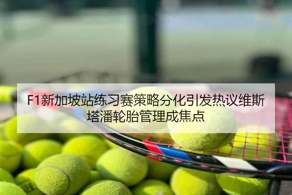 F1新加坡站练习赛策略分化引发热议维斯塔潘轮胎管理成焦点